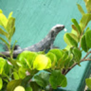 Meet your Posher, Melinda